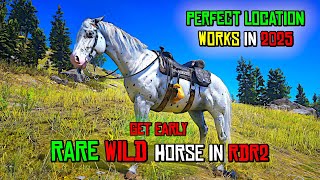 RDR2 - Get the Rarest Horse Few Spotted Appaloosa for FREE Early in Chapter 2