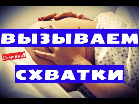 Video: Саггыр терини кантип тонуска келтирсе болот