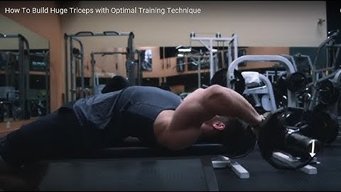 Re: Jeff Nippard - How To Build Huge Triceps with Optimal Training Technique
