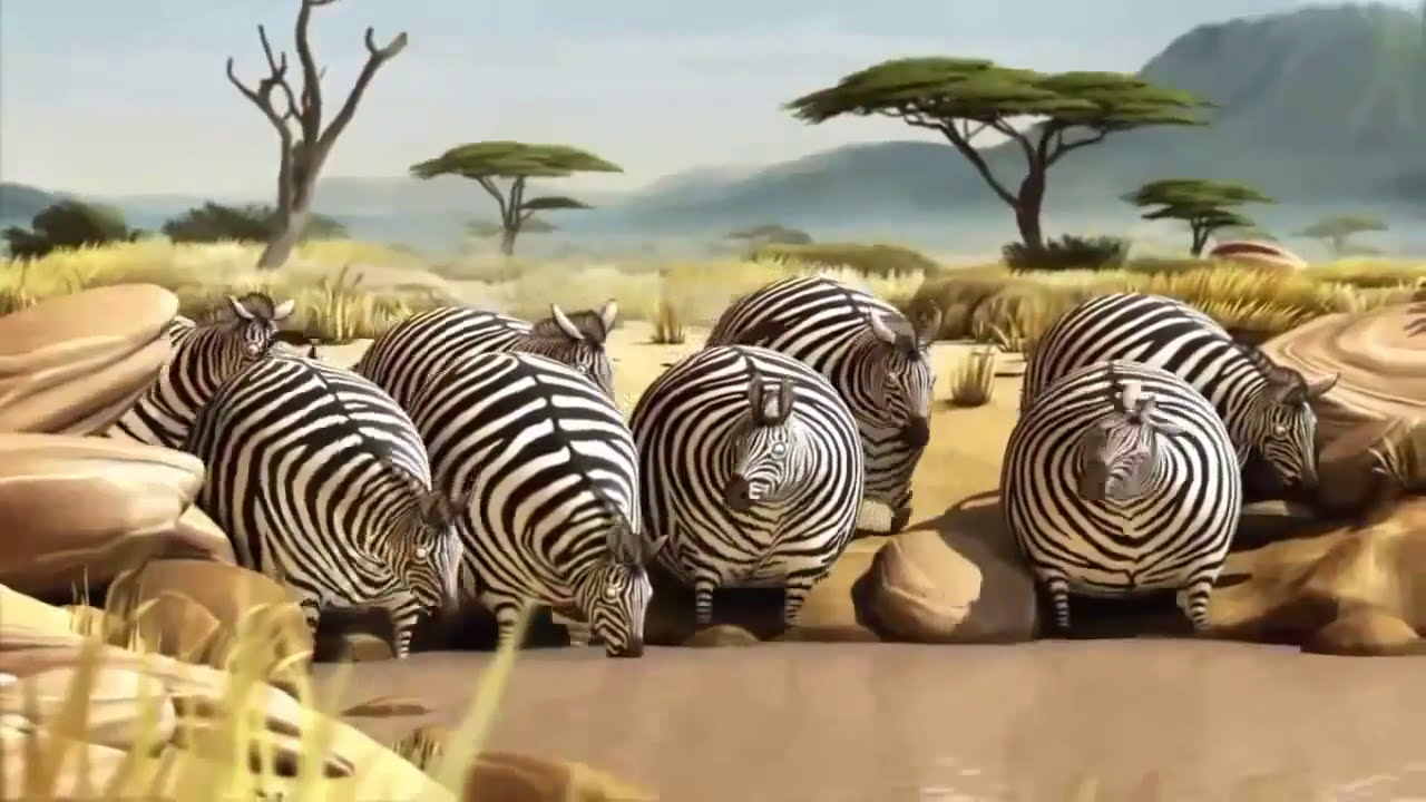 Lucu Ketika Para Hewan Menjadi Gendut Dan Comel YouTube Lucu Ketika Para Hewan Menjadi Gendut Dan Comel YouTube