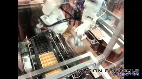 Layered Case Packing With FANUC Robots