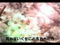 Miniature de la vidéo de la chanson 芋虫さん