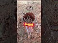 استغل كوع الماسورة بطريقة عبقرية!🤯