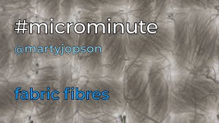#microminute 39 fabric fibres