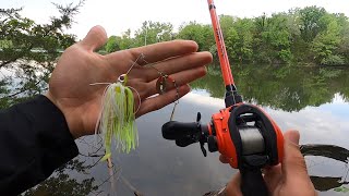 The BEST Spring Lure?!! Spinnerbait Bass Fishing!