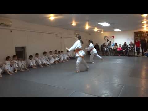 Klub realnog aikidoa i jujutsu Novi Sad Polaganje za zvanja februar 2019 III i IV grupa dece 7/12