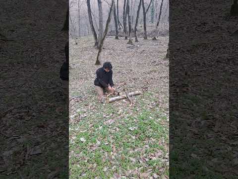 لحظاتی با من به جنگل سفر کن و از صدای تبر لذت ببر  بوشکرفت کمپینگ