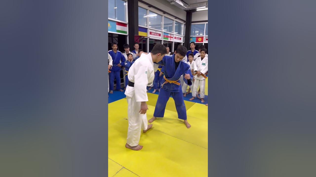 Uchi Mata Judo