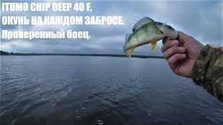 видео: ОКУНЬ НА УЛЬТРАЛАЙТ 2021 картинка: ОКУНЬ НА УЛЬТРАЛАЙТ 2021