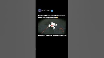 OmniWheg Robot Switches From Wheels To Legs For Any Terrain😱#shorts#robot