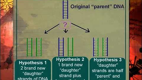 LS Lesson 6 Segment 3 SD Video Sharing copy
