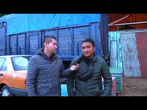 Cover PRODUCCIONES NUEVA ERA COMO SE REALIZAN LOS BAILES SONIDEROS
