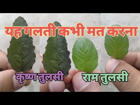 वीडियो: तुलसा में गृह सुरक्षा