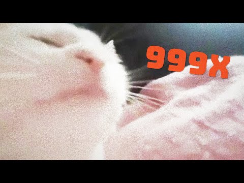 Кот флексит под Da Da Da (Скорость 999x)