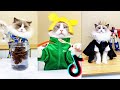  1 hour edition   that little puff tiktok compilation  chef cat