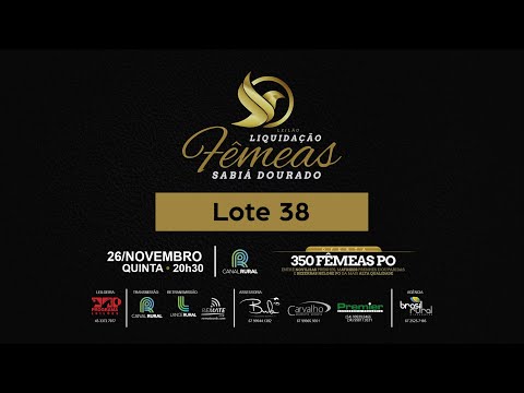 LOTE 38