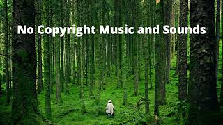 JJD \& Division One - Somebody Like Me feat Halvorsen - No Copyright Music and Sounds