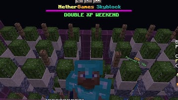 I made best cactus farm in Minecraft skyblock. Nether games skyblock