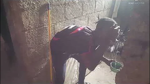 miz haitien nan sendomeng