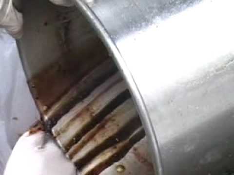 How To Properly Dispose Of Deep Fryer Oil You How To Properly Dispose Of Deep Fryer Oil