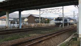 9863レ EF64形新製コキ牽引 三河塩津通過