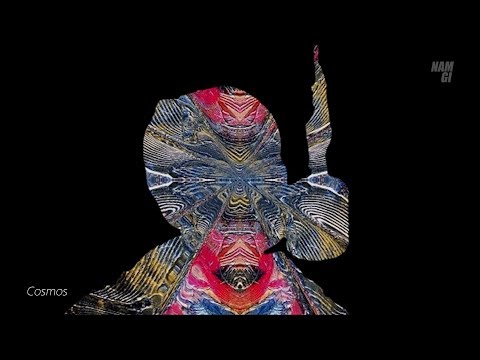 일리닛 마이크스웨거 벌스
