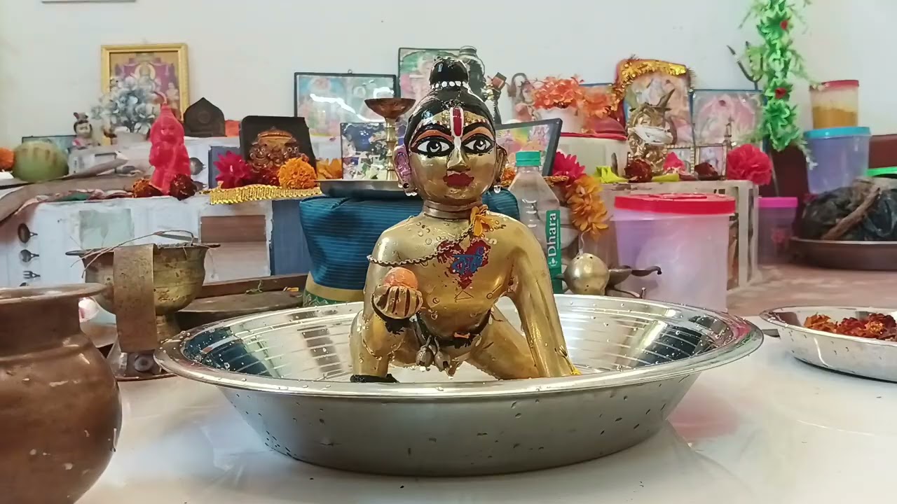 আজকে সকাল সকাল গোপাল স্নান করে নিলো