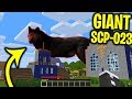 GIANT SCP-023 was disguised as a GIANT DOG in Minecraft.... - SCP Hunting in Minecraft