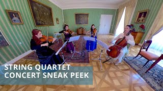 360° Classical Music Concert - String Quartet: Sneak Peek in 8K