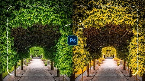 Apply the Golden Colors of Autumn in Photoshop! - Bahauddin
