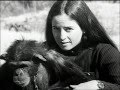 Janis Carter - pour l'amour des chimpanzés - aventures de femmes