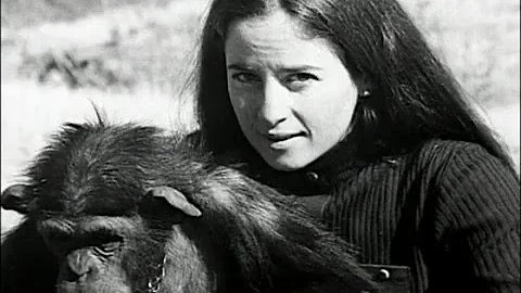Janis Carter - pour l'amour des chimpanzs - aventu...