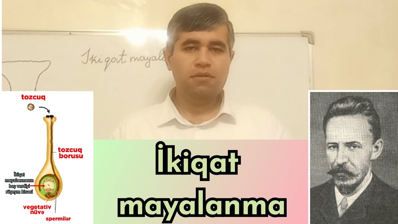 Çiçəkli bitkinin cinsi çoxalması (III video), İkiqat mayalanma (S.Q.Navaşin,1898)
