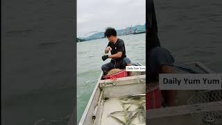 Daily Line Fishing in river at home #004506 #fishing #fishingvideo #linefishing #fishingtips