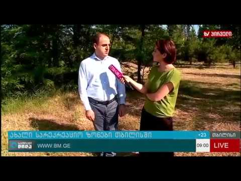 დავით ნარმანიას პირდაპირი ჩართვა გადაცემაში ,,საქმიანი დილა''