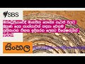 ඔස්ට්‍රේලියාවේදී මානසික සෞඛ්‍ය ගැටළු වලට මුහුණ දෙන කාන්තාවන් සඳහා වෙනම ප්‍රතිකාරක ඒකක ඉදිකරන...