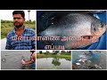 fish farm மீன் பண்ணை அமைப்பது எப்படி#fish farming#fish farming business