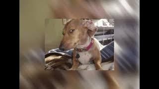 Cutie pie- one way sped up