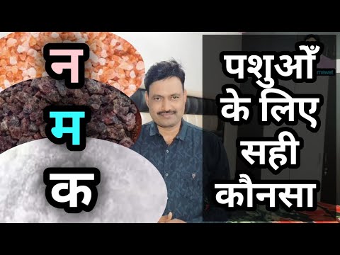 वीडियो: सामन के पेट को नमक कैसे करें