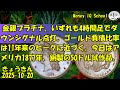 10-20 金銀プラチナ、いずれも4時間足でダウンシグナル点灯。ゴールド負債比率は11年来のピークに近づく。今日はアメリカ1877年、銅製の50ドル試作品。 (356) きょうきんGT