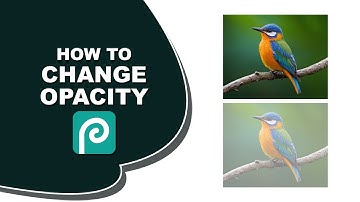 how to change opacity in photopea