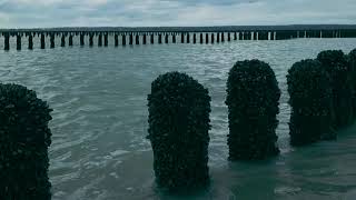 MOULES 191018 1