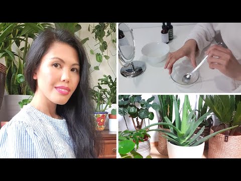 How to Make Your Anti-Aging Face Mask Using Aloe Vera for Younger Skin