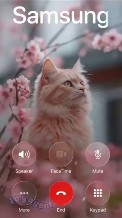 Samsung ringtone & Cute Kitty 🐱🎶  #catringtone #samsungringtone #shorts
