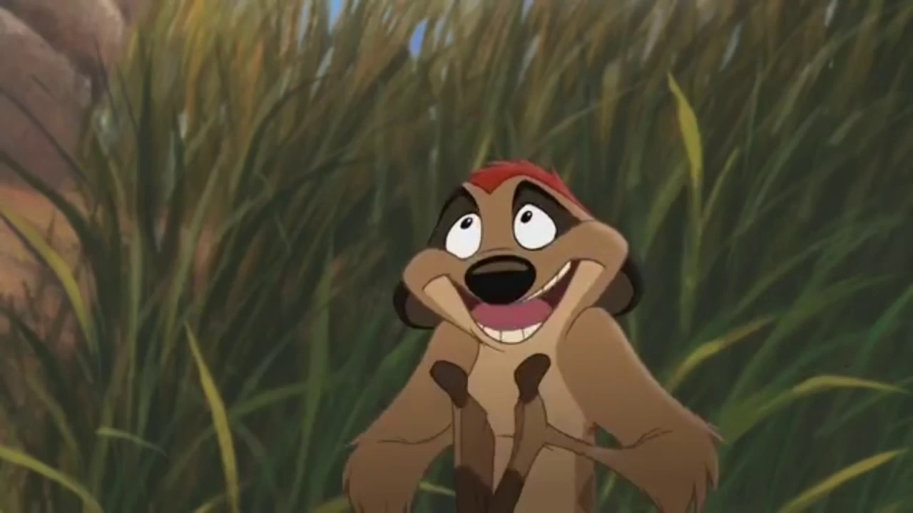 Тимон Фото Из Мультика – Telegraph