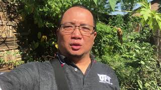 Mitsubishi Xpander Bpkb Gratis Dari Paytren