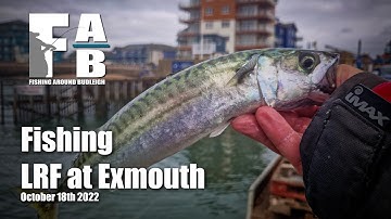 LRF Fishing Exmouth Docks - October 18th 2022