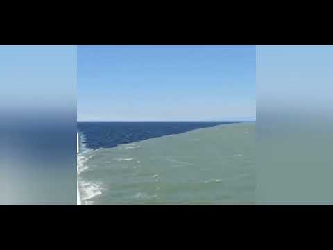 Video: Ano ang kaasinan ng Karagatang Atlantiko?