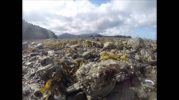 Sitka National Historical Park - Intertidal timelapse 4/29/14