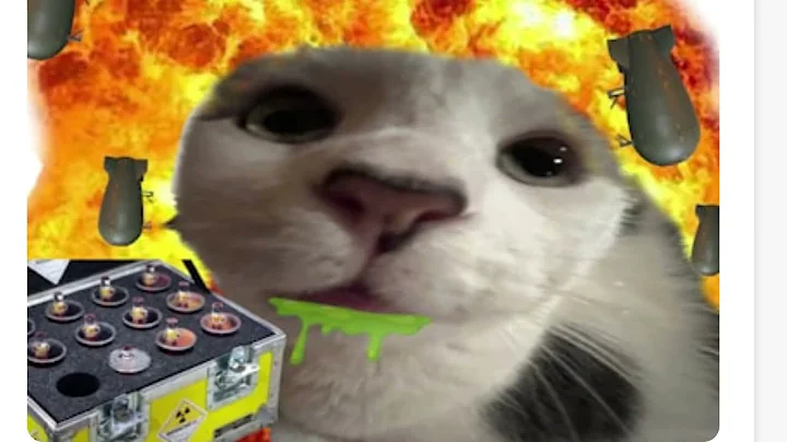 :o                              0n0                                 o: